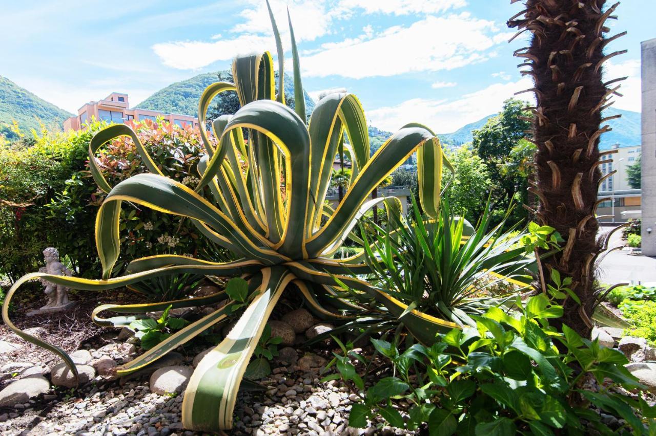 Agave Apartment By Quokka 360 - Flat With Large Terrace In Lugano Viganello Exterior photo